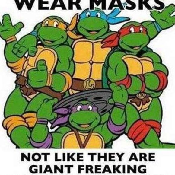 Meet your Posher, Colby - Picture 1 of 1